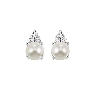10KT White Gold & Diamond Classic Book 10K Birthstone Ensembles Fashion Earrings  - 1/10 ctw