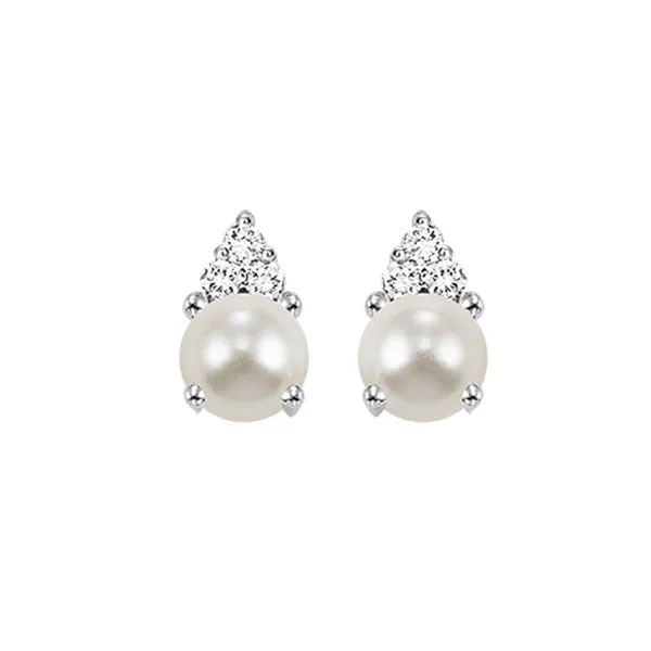 10KT White Gold & Diamond Classic Book 10K Birthstone Ensembles Fashion Earrings  - 1/10 ctw