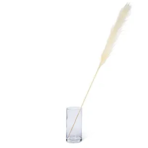 ABBOTT- EXTRA LARGE WHITE PAMPAS GRASS