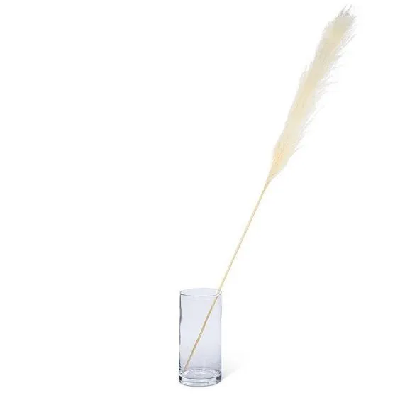 ABBOTT- EXTRA LARGE WHITE PAMPAS GRASS