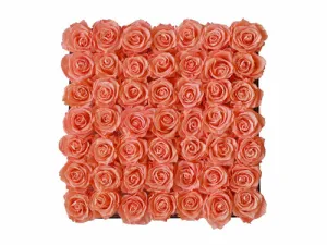 Forty-nine Preserved Roses - Concept