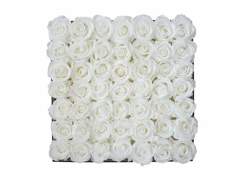 Forty-nine Preserved Roses - Concept