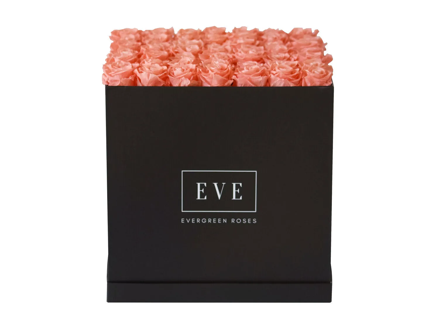 Forty-nine Preserved Roses - Concept