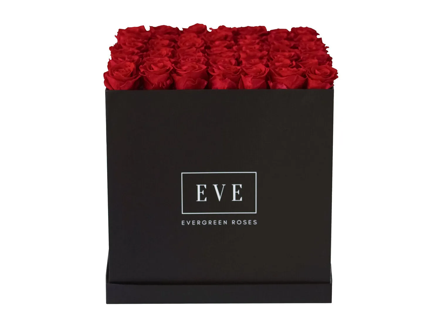 Forty-nine Preserved Roses - Concept