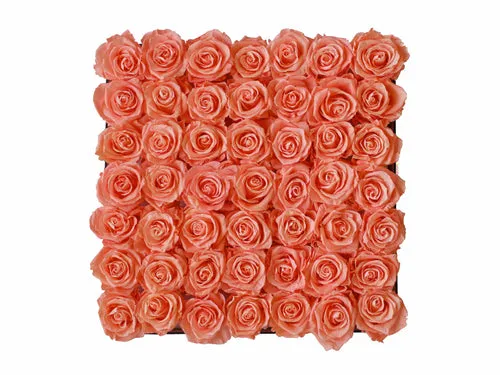 Forty-nine Preserved Roses - Concept