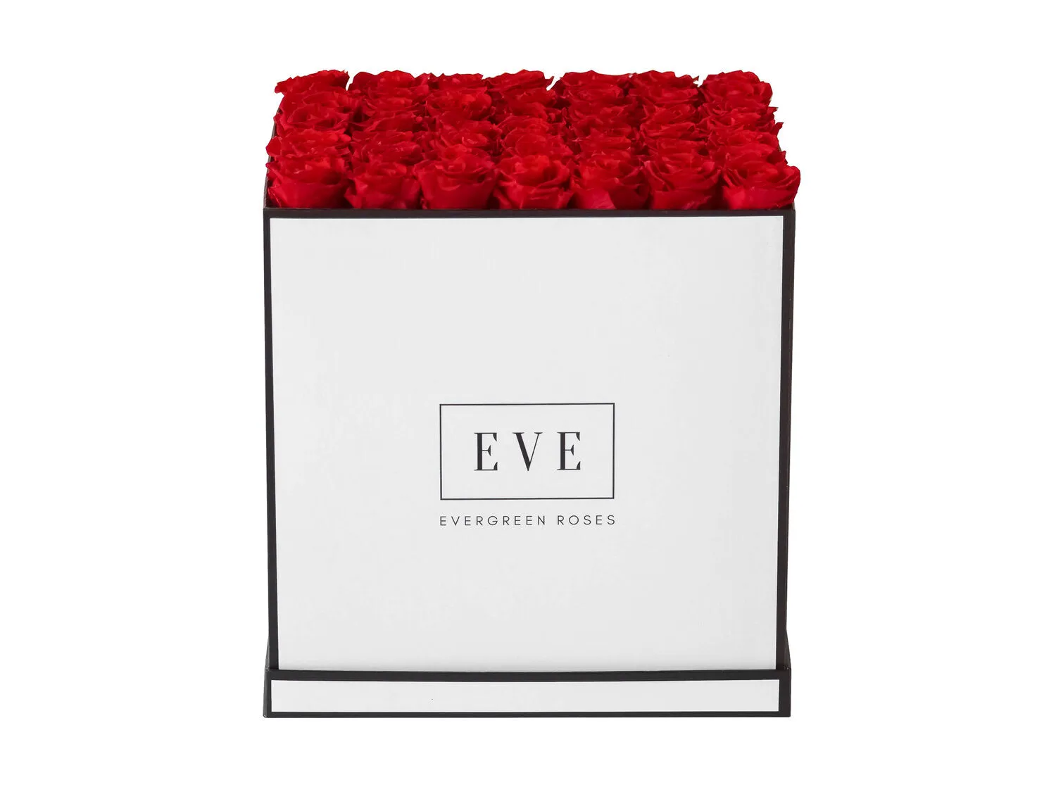 Forty-nine Preserved Roses - Concept