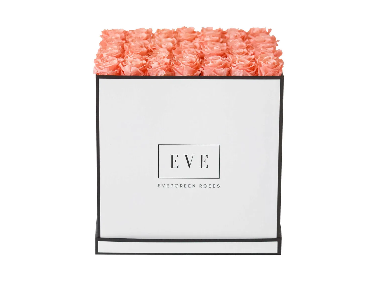 Forty-nine Preserved Roses - Concept
