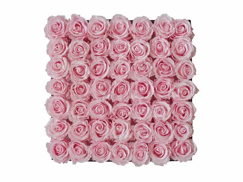 Forty-nine Preserved Roses - Concept