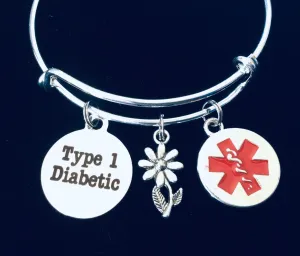 Medical Alert Type 1 Diabetic Expandable Charm Bracelet Diabetes Silver Adjustable Bangle Gift