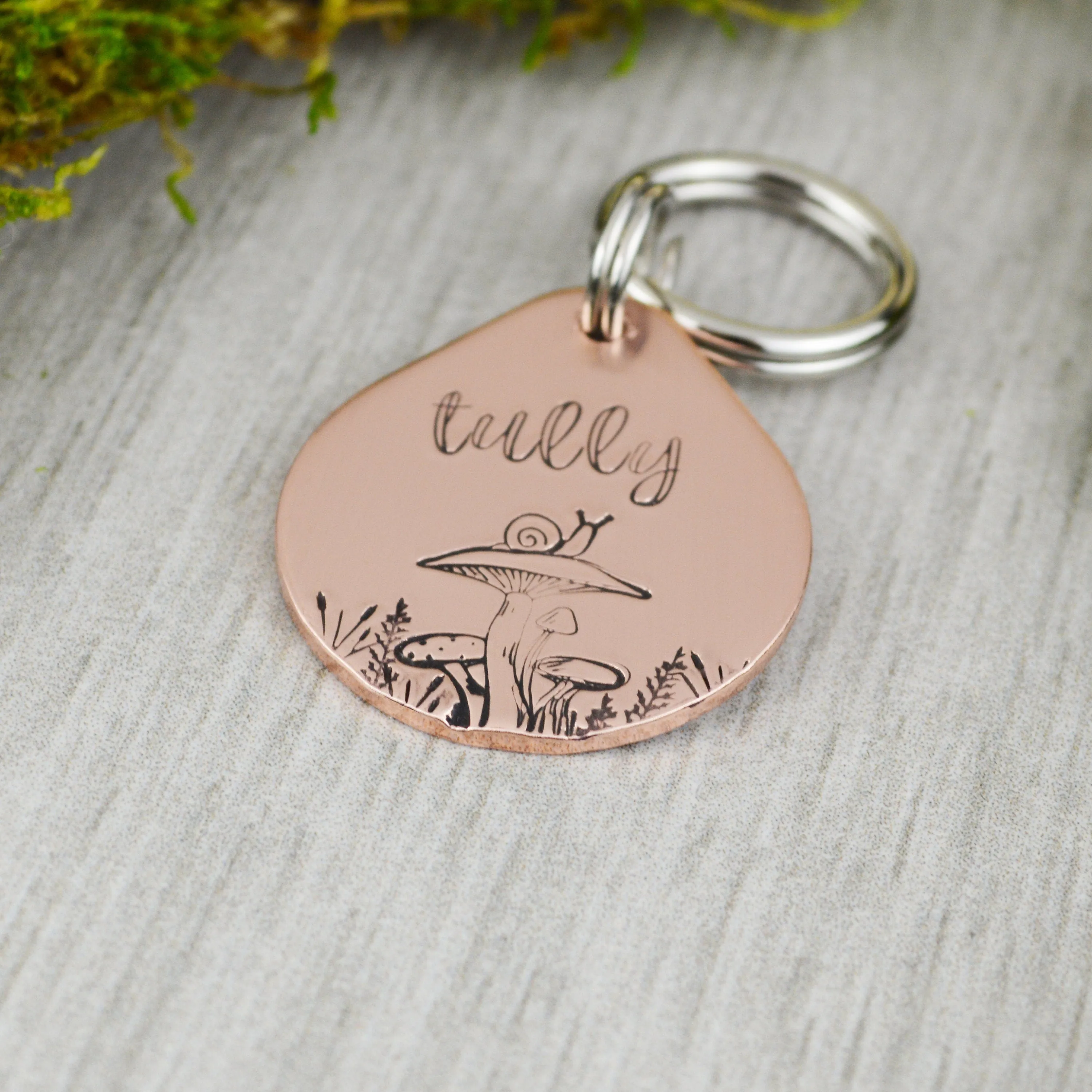Mollusca Pet ID Tag