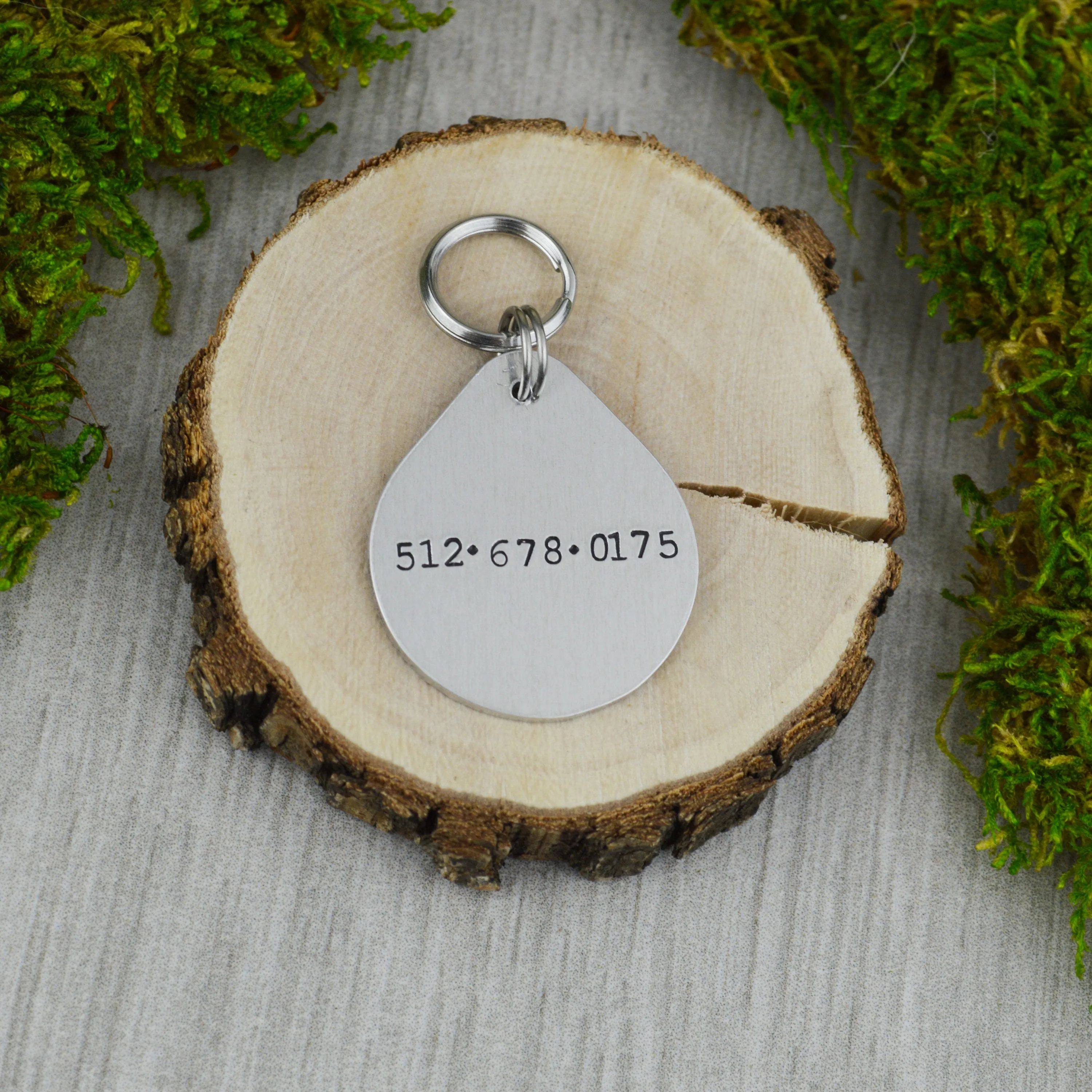 Mollusca Pet ID Tag