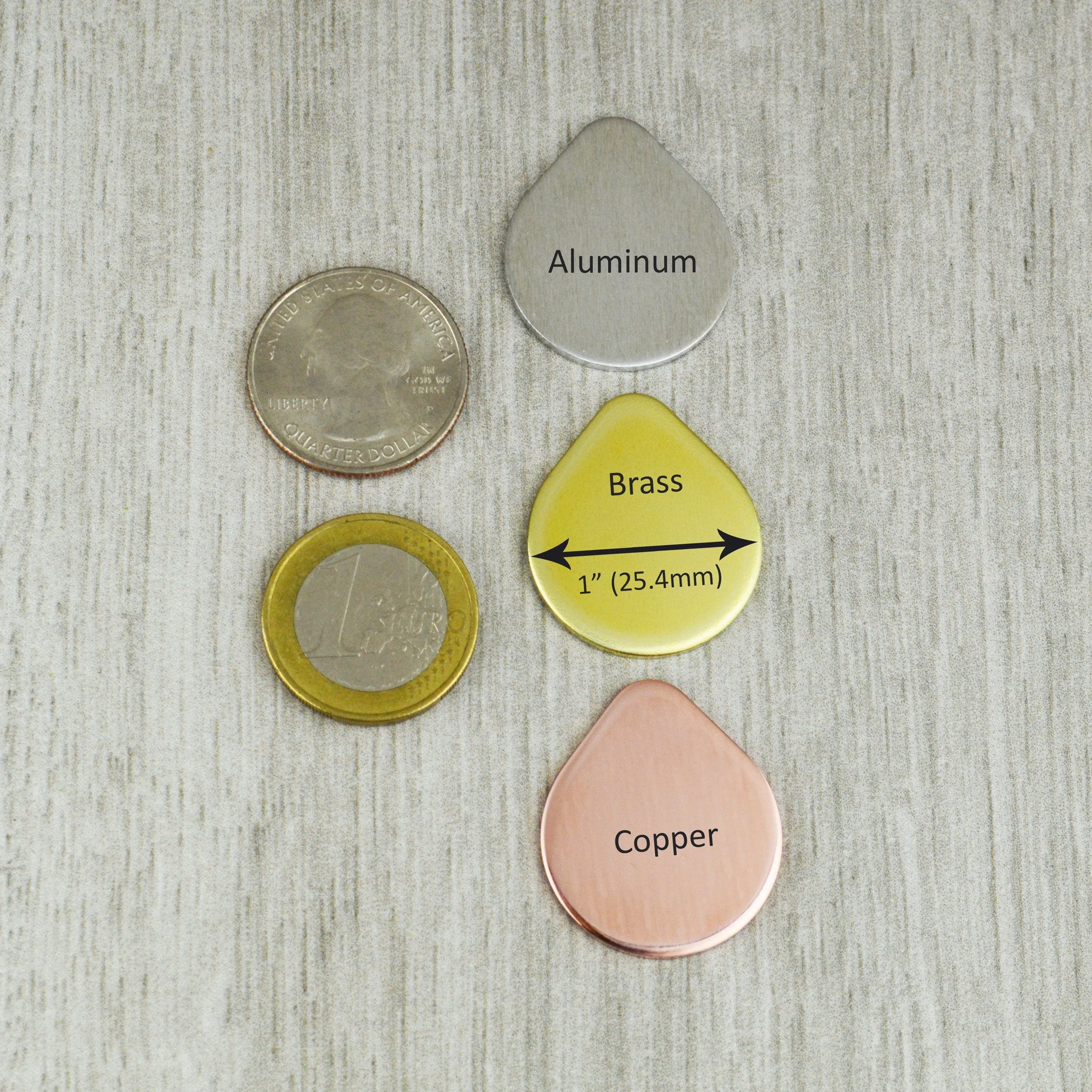 Mollusca Pet ID Tag