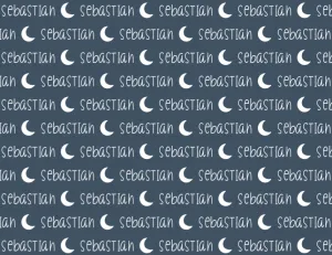 Plush Minky Fleece Personalized Blanket | Moon Icon Repeating Name